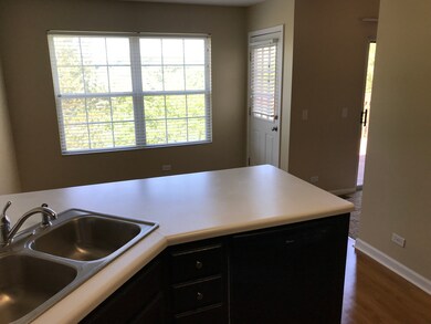 5 Sierra Ct, Lake In the Hills, IL 60156 - photo 4