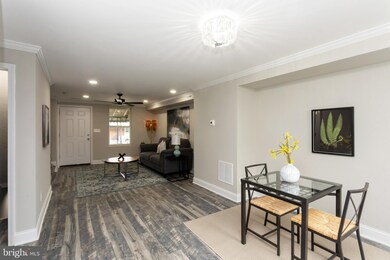 3203 Kentucky Ave, Baltimore, MD 21213 - photo 6