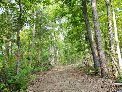 0 Jefferson Mill Rd unit 642483, Scottsville, VA 24590 - photo 4