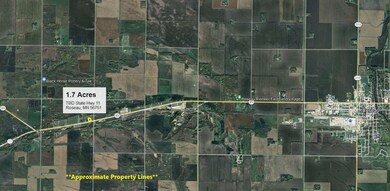 TBD Minnesota 11, Badger, MN 56751 - photo 2