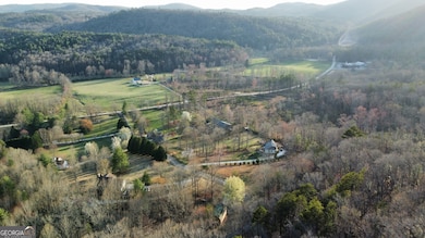 Drone View