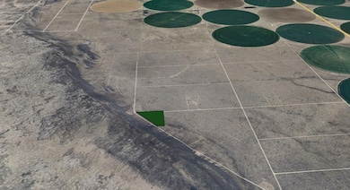 0 Blanca unit 25534612, Blanca, CO 81123 - photo 6