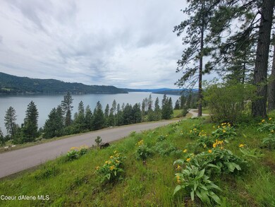 Lt 55 Blk3 Promontory, Harrison, ID 83833 - photo 4