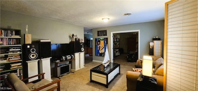 126 N Park St, Oberlin, OH 44074 - photo 6