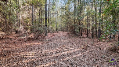 0 Massey Rd unit 257640, Tennille, GA 31089 - photo 7