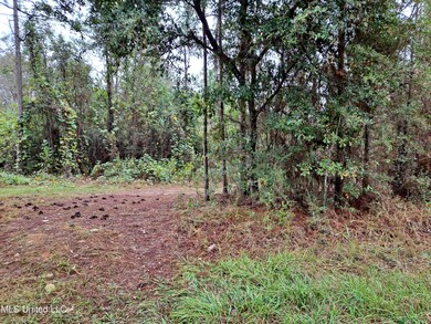 0 1 Acres Hwy 612, Lucedale, MS 39452 - photo 3