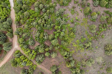 4-web-or-mls-Oak Tree Lot - www.aspencre