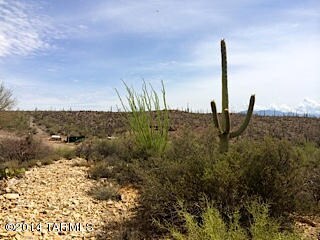 IMG_7725