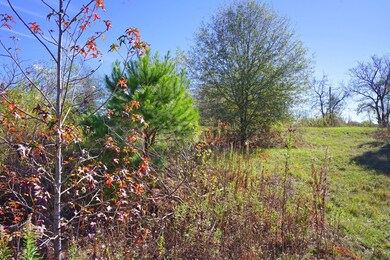 6488 State Highway 135 N, Kilgore, TX 75662 - photo 6