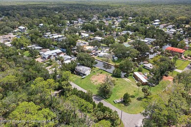 5981 Colony Cir, Weeki Wachee, FL 34607 - photo 3