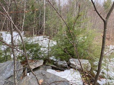 17 Nina Lee, Putney, VT 05346 - photo 3