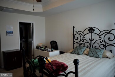 22876 Chestnut Oak Terrace, Sterling, VA 20166 - photo 7