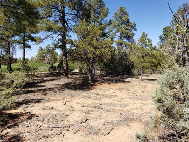 4190 W Sugar Pine Loop