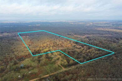 50 N 407 Rd, Wann, OK 74083 - photo 3