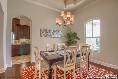 24118 Mateo Ridge, San Antonio, TX 78261 - photo 7