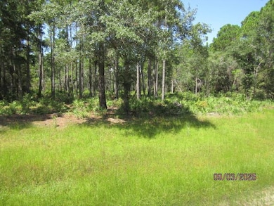 315 Gramercy Plantation Rd, Eastpoint, FL 32328 - photo 2