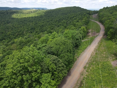 TBD Lick Fork Rd, Witt Springs, AR 72686 - photo 5