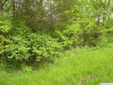 0 Route 9h Oldpost Rd unit 156889, Ghent, NY 12075 - photo 4