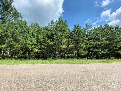 24340 Oak Hollow Blvd, Hockley, TX 77447 - photo 6