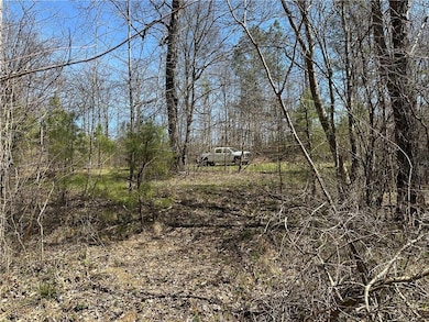 1849 Prior Station Rd, Cedartown, GA 30125 - photo 5