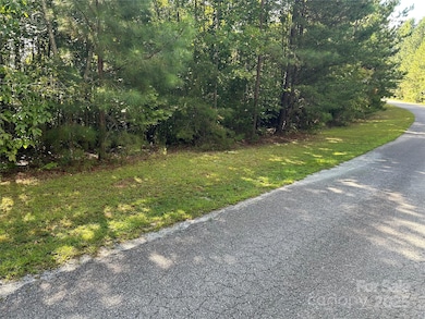 0 Hope Dr unit 20 CAR4299424, Rutherfordton, NC 28139 - photo 4