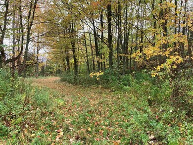 TBD Ironwood Rd unit Lot  5, Fairfax, VT 05478 - photo 2