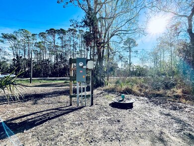 715 SE First Ave, Steinhatchee, FL 32359 - photo 6