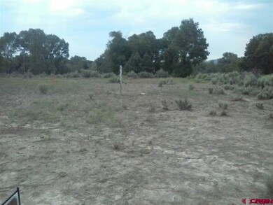 32651 County Road 500, Pagosa Springs, CO 81147 - photo 5