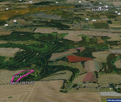 4289 Davis Creek (Next To) (Lot#1) Rd NE, Silverton, OR 97381 - photo 4