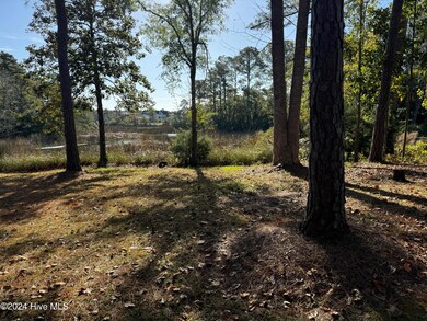 Marsh View #2