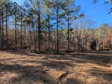 169 Volunteer Ln, Old Fort, TN 37362 - photo 3