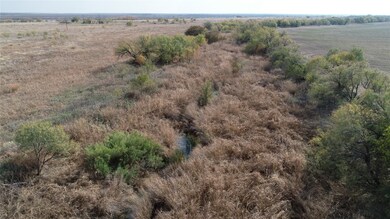 TBD Fm 2647, Ballinger, TX 76821 - photo 7