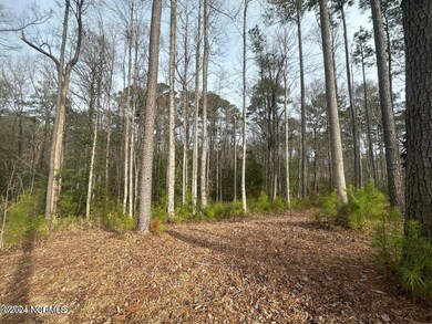 1007 Parchment Bluff