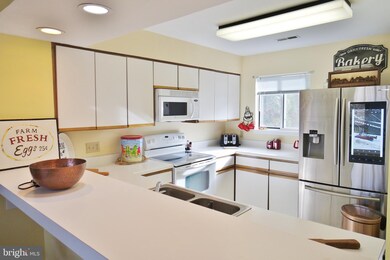 4 Ridge Ct, Basye, VA 22810 - photo 3