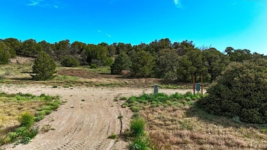 Lot 148 Navajo Ranch Resort, Walsenburg, CO 81089 - photo 6