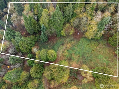 205 W Newt Estates Rd, Longview, WA 98632 - photo 6