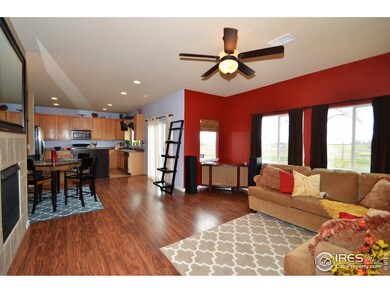 14166 Madison Way, Thornton, CO 80602 - photo 3