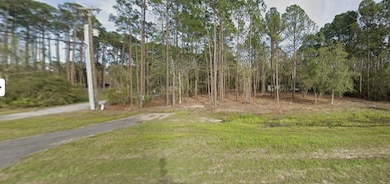 S US Highway 331, Freeport, FL 32439 - photo 2