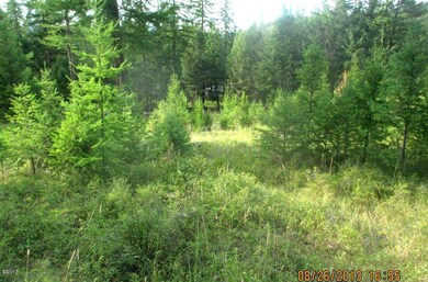 189 Torto Loop, Kila, MT 59920 - photo 2
