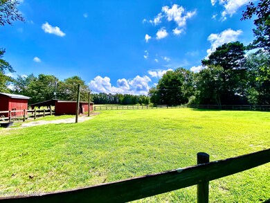 9750 Penderlea Hwy, Willard, NC 28478 - photo 5