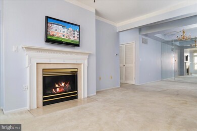 9207 Groffs Mill Dr unit 9207, Owings Mills, MD 21117 - photo 2
