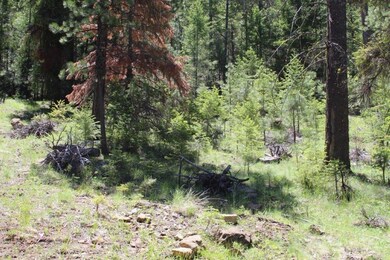 62390 Haggard Loop, John Day, OR 97845 - photo 7