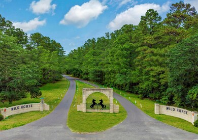 0 Wildhorse Dr unit 21.08 Acres, Conway, SC 29526 - photo 2
