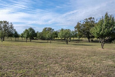 119 Moss Ln, Weatherford, TX 76088 - photo 5