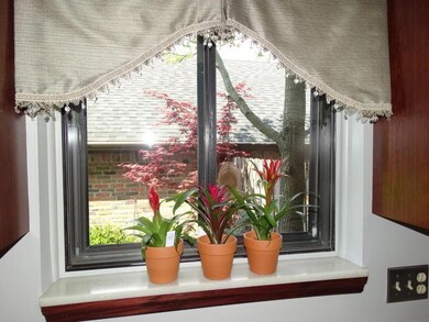 Kitchen Window To Patio