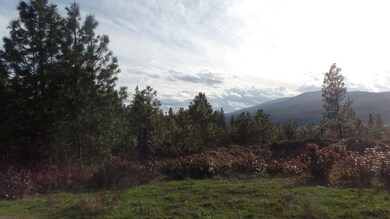 Property and view