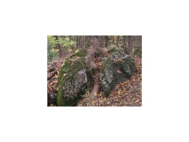 15750 E Black Oak Rd, Fayetteville, AR 72701 - photo 3