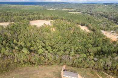 1190 County Road 950, Crane Hill, AL 35053 - photo 5