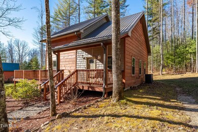 1769 Dennis Cove Rd, Hampton, TN 37658 - photo 7