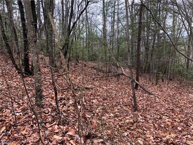 Lot 230 Deer Run, Purlear, NC 28665 - photo 7